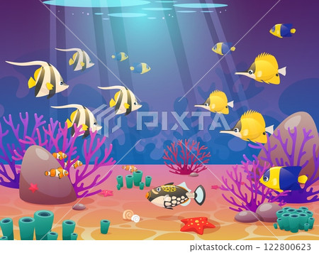 Cartoon exotic fish on seabed. Tropical ocean fauna, bright underwater wildlife, marine colorful inhabitants, algae, corals, undersea goldfish and starfish, background design, vector concept Cartoon exotic fish on seabed. Tropical ocean fauna, bright underwater wildlife, marine colorful inhabitants, algae, corals, undersea goldfish and starfish, background design, vector concept 122800623