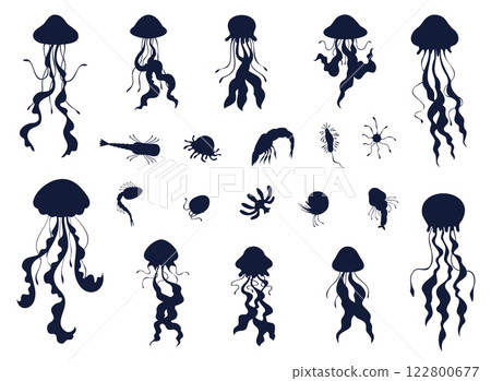 Set jellyfish and plankton silhouettes. Water ocean animals, underwater tropical fish, icon or logo design. Exotic sea creatures. Marine graphic design. Vector flat isolated black illustration Set jellyfish and plankton silhouettes. Water ocean animals, underwater tropical fish, icon or logo design. Exotic sea creatures. Marine graphic design. Vector flat isolated black illustration 122800677
