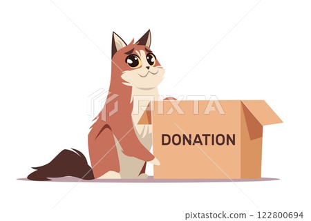 Stray cat near box asking for donations. Sad homeless domestic animal. Volunteering and assistance. Pet asking for support cartoon flat style isolated vector charity and adoption concept 122800694