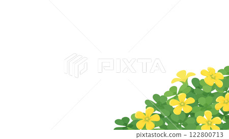 酢漿草盛開的背景插圖_16:9 122800713