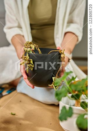 Woman holding a dried plant in a black pot 122800720