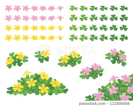 黃色和粉紅色的酢漿草花插圖素材集 122800886