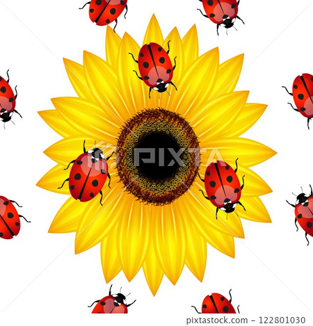 Seamless pattern with ladybirds and sunflower. 122801030