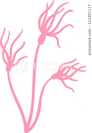 Firing pink neurons connecting to form a complex network against a clean white background, creating a striking minimalist illustration of the nervous system 122801117