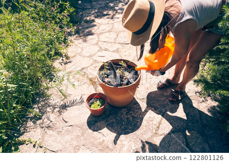 An unrecognizable woman is watering seedlings in a pot. Transplanting seedlings into a larger pot. With space to copy. High quality photo An unrecognizable woman is watering seedlings in a pot. Transplanting seedlings into a larger pot. With space to copy. High quality photo 122801126