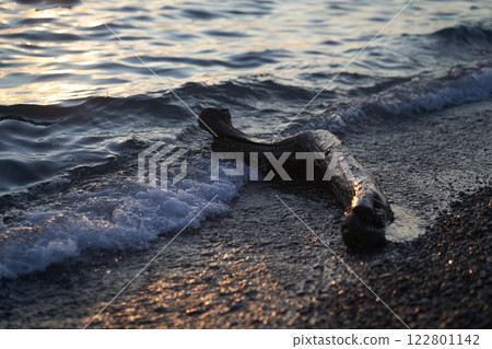 Water rushing onto the shore of a pebble beach in the afternoon sun. A driftwood on the shore. The sea at dusk. There is a place to copy. High quality photo Water rushing onto the shore of a pebble beach in the afternoon sun. A driftwood on the shore. The sea at dusk. There is a place to copy. High quality photo 122801142