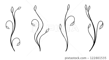 hand drawn botanical illustrations of various leaves. Vector illustration hand drawn botanical illustrations of various leaves. Vector illustration 122801535
