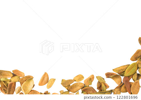 Cutout of leaf texture background with copy space and clipping paths on white background. Ideal for graphic design, card making, and nature themed creative projects. 122801696