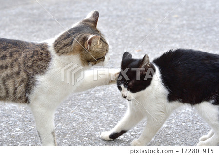 Neko punch Neko punch 122801915
