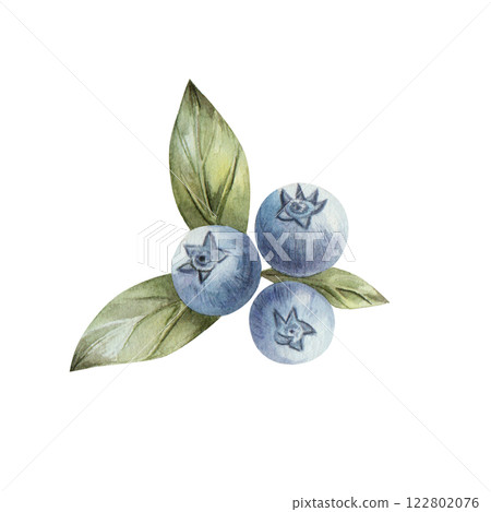 Blueberry. Watercolor illustration with blueberries and green leaves. Hand drawn illustration isolated on white background. For print, cards, textiles, kitchen, invitations. Blueberry. Watercolor illustration with blueberries and green leaves. Hand drawn illustration isolated on white background. For print, cards, textiles, kitchen, invitations. 122802076