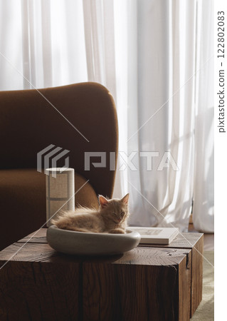 Two month old ginger fluffy kitten resting in concrete decorative bowl 122802083