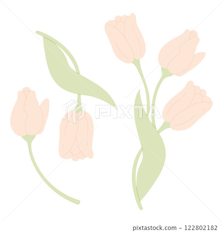 Tulips collection. Isolated spring flowers on white background. Vector illustration in pastel soft colors Tulips collection. Isolated spring flowers on white background. Vector illustration in pastel soft colors 122802182