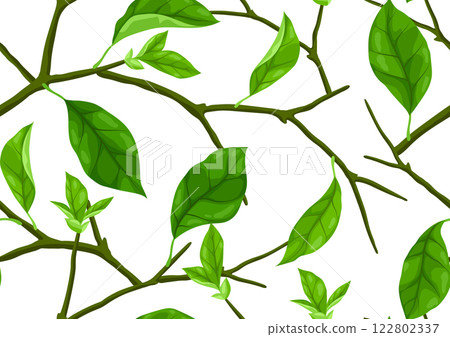 Pattern with branches and leaves. Spring or summer stylized foliage. 122802337