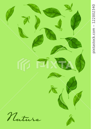 Background with leaves. Spring or summer stylized foliage. 122802340