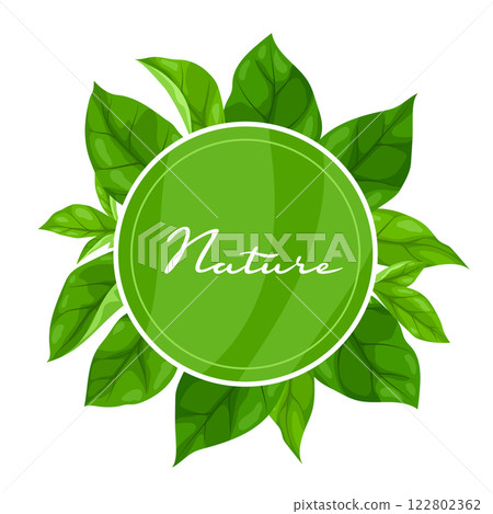 Background with leaves. Spring or summer stylized foliage. 122802362