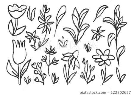 Hand drawn flowers and leaves set. Charcoal line poppy, tulip, daisy doodle monochrome. Floral outline brush chamomile and marguerite kids chalk style shape. Vector black pencil illustration. 122802637