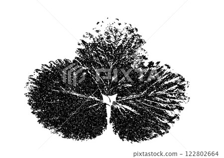 Leaf photocopy element. Collage botanical shape. Strawberry foliage stippled. Vector stippled nature illustration isolated on white background. 122802664