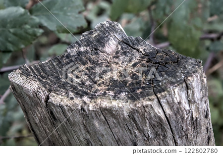 weather-eroded wood weather-eroded wood 122802780