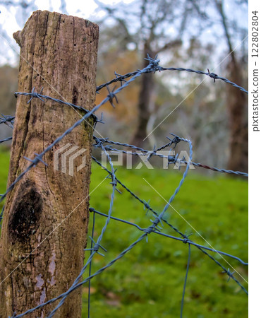 barbed wire surrounding a post 122802804