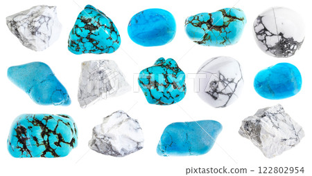 natural specimens of uncut howlite rocks cutout 122802954