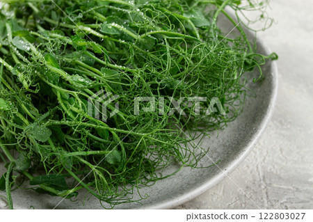 Freshly harvested pea shoots on a plate ready for cooking and garnishing dishes in a kitchen setting 122803027