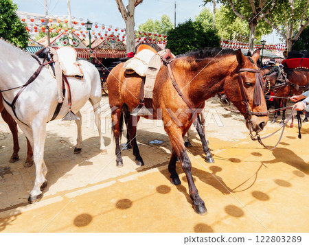 Elegant horses and riders at the vibrant Seville Fair 122803289