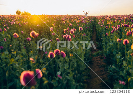 Young woman walking in a field of purple poppies at dawn 122804118