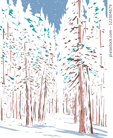Winter Forest of Subalpine Fir and Limber Pine in Echo Lake Colorado WPA Poster Art Winter Forest of Subalpine Fir and Limber Pine in Echo Lake Colorado WPA Poster Art 122804679