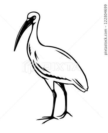 American White Ibis or Eudocimus Albus Woodcut Retro Style 122804699