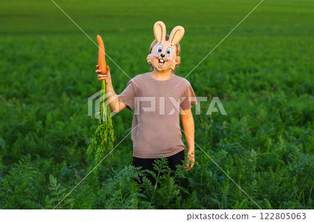 A child in a rabbit mask in a field with a torn carrot. the destruction of vegetable gardens and farms. humor 122805063