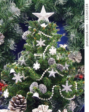 Flowering Plant in a Flowerpot with Christmas Tree and Evergreen Shrubs Flowering Plant in a Flowerpot with Christmas Tree and Evergreen Shrubs 122805184