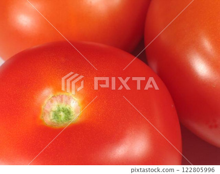 Vibrant Harvest of Cherry Tomatoes and Plum Tomatoes on the Vine Vibrant Harvest of Cherry Tomatoes and Plum Tomatoes on the Vine 122805996