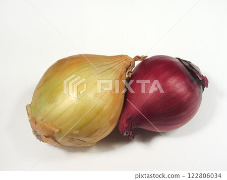 Fresh Onions and Shallots: A Natural Selection of Culinary Ingredients 122806034