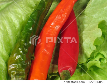 Fresh Bird's Eye Chili: A Vibrant Essential Ingredient in Natural Plant-Based Foods 122806059