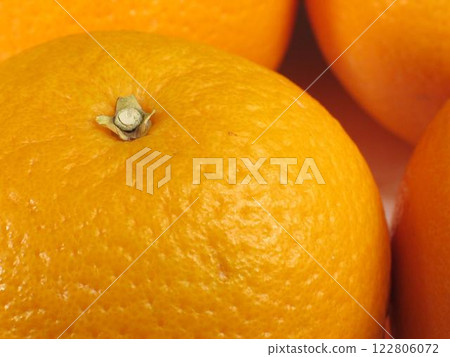 Vibrant Citrus Fruits: A Collection of Valencia Oranges, Clementines, and Other Natural Delights 122806072