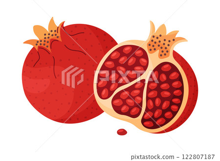 Fresh red pomegranate whole and half fruit Hand drawn flat style isolated icon 122807187