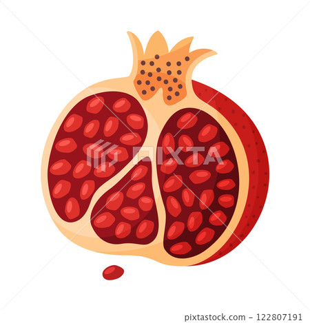 Fresh red pomegranate, half fruit Hand drawn flat style isolated icon Fresh red pomegranate, half fruit Hand drawn flat style isolated icon 122807191