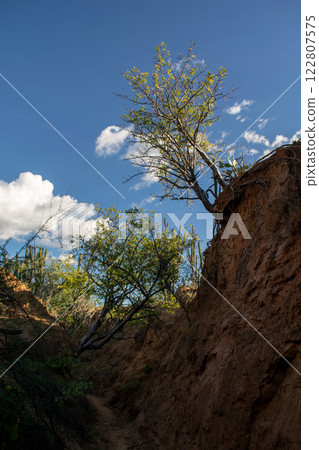Tatacoa Desert, arid lands of the tropical dry forest in Colombia Tatacoa Desert, arid lands of the tropical dry forest in Colombia 122807575