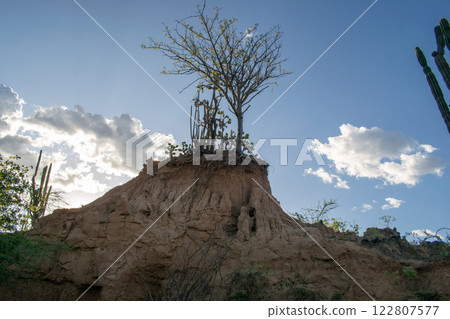 Tatacoa Desert, arid lands of the tropical dry forest in Colombia Tatacoa Desert, arid lands of the tropical dry forest in Colombia 122807577