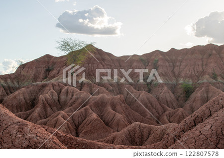 Tatacoa Desert, arid lands of the tropical dry forest in Colombia Tatacoa Desert, arid lands of the tropical dry forest in Colombia 122807578