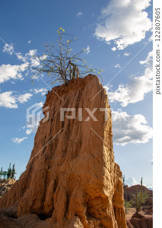 Tatacoa Desert, arid lands of the tropical dry forest in Colombia Tatacoa Desert, arid lands of the tropical dry forest in Colombia 122807605
