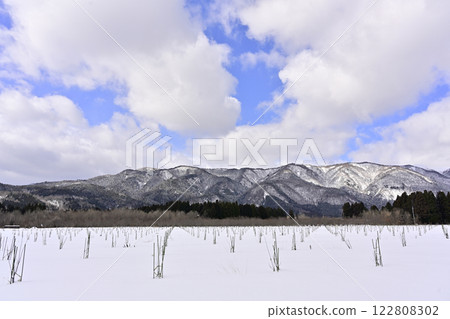 Snow-covered orchard Snow-covered orchard 122808302