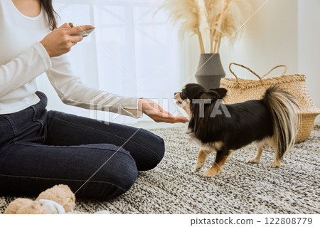 Woman playing with her dog in the living room 122808779