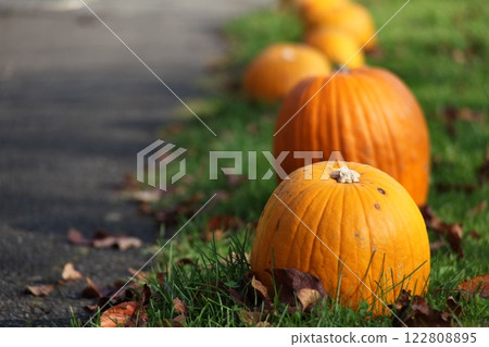 Autumn scenery_pumpkins on the lawn 122808895
