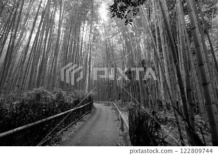 Kyoto Arashiyama bamboo forest small diameter 122809744