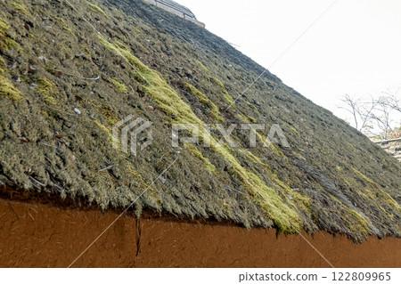Moss growing on a thatched roof [Roof design from ancient times] 122809965