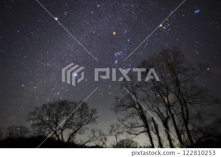 Orion and the Winter Triangle (Izumo City) Orion and the Winter Triangle (Izumo City) 122810253