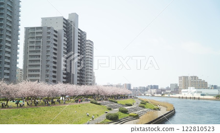 Cherry blossoms in bloom as seen from the Sumida River Terrace Cherry blossoms in bloom as seen from the Sumida River Terrace 122810523