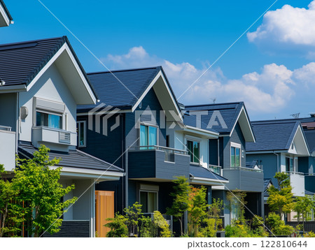 Landscape with a newly built house 122810644