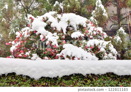 At Enkoji Temple on a snowy day 122811183